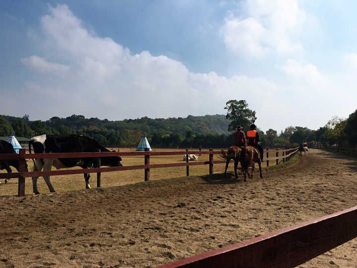 ������ʱ - �������ǲ�!